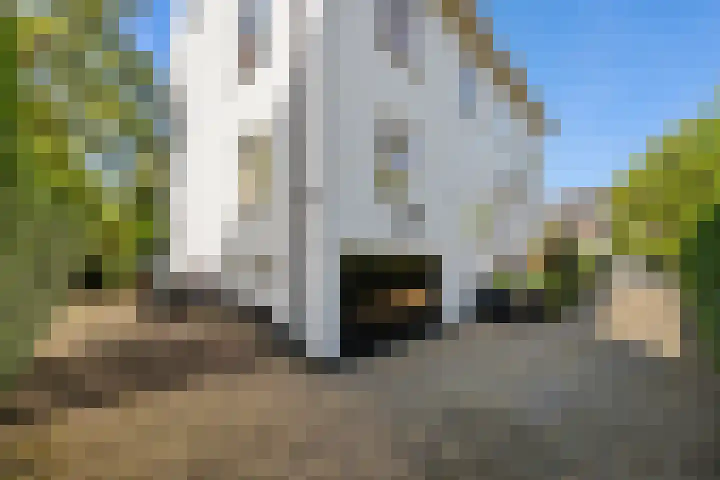 Van Somerenweg 58 Rotterdam thumbnail 33
