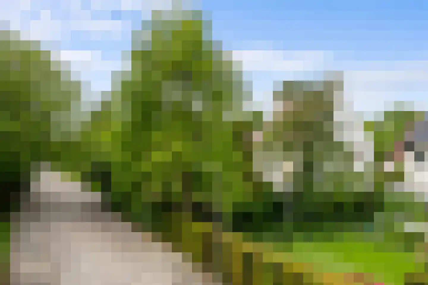 Van Somerenweg 58 Rotterdam thumbnail 6
