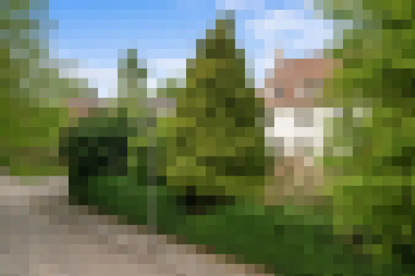 Van Somerenweg 58 Rotterdam thumbnail 7
