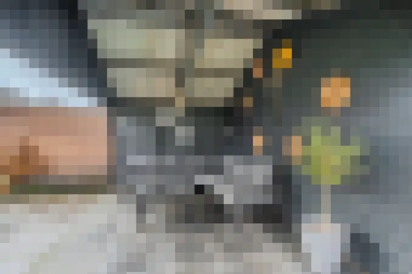 Van Sonoystraat 3 Bourtange thumbnail 11
