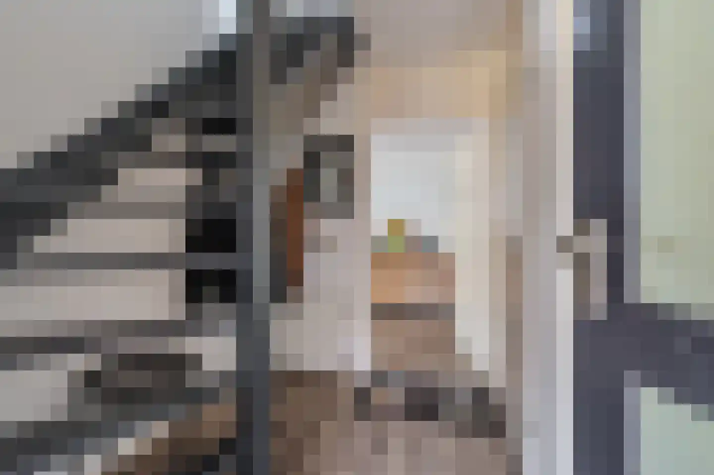 Van Sonoystraat 3 Bourtange thumbnail 17