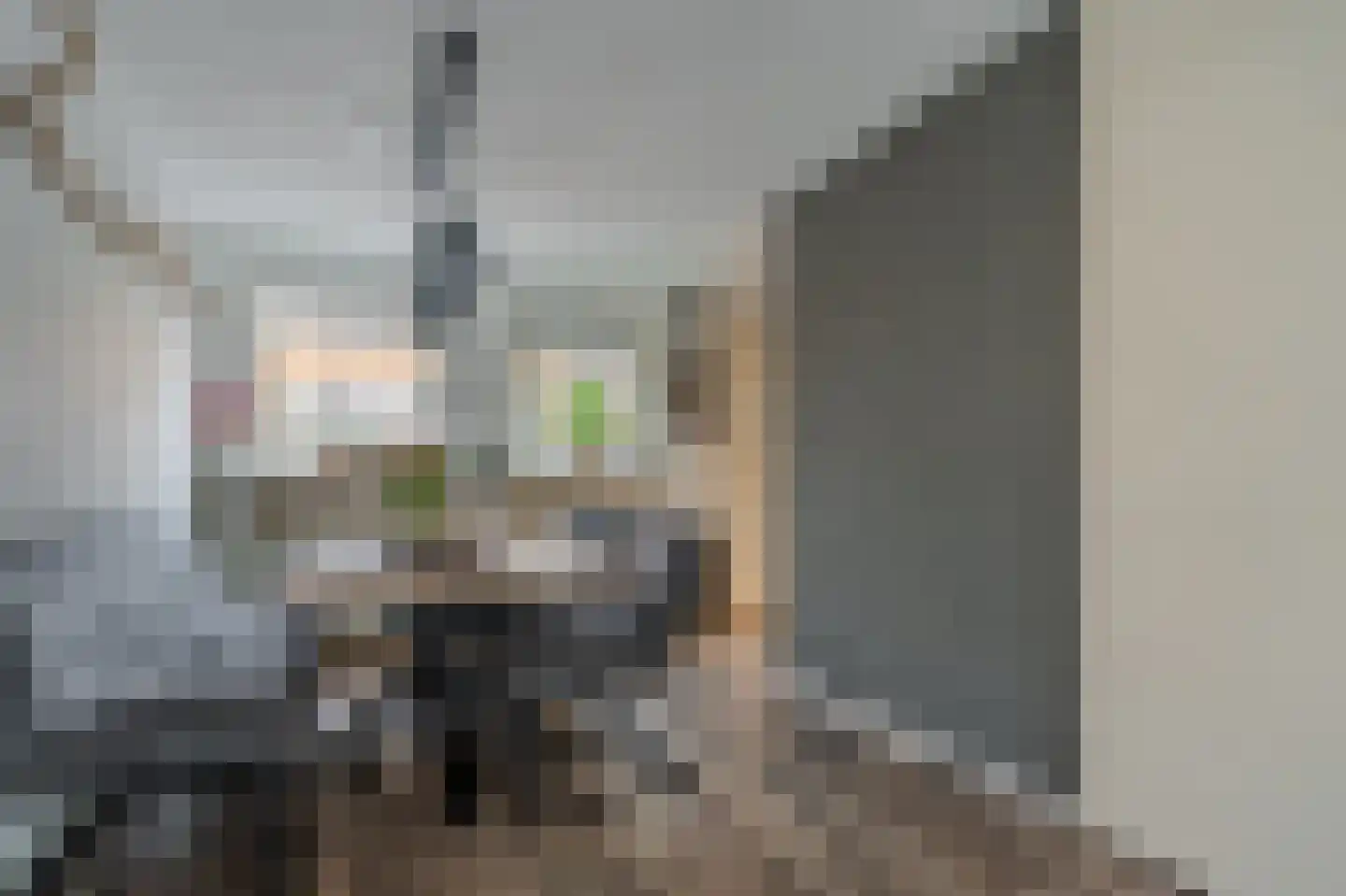 Van Sonoystraat 3 Bourtange thumbnail 19