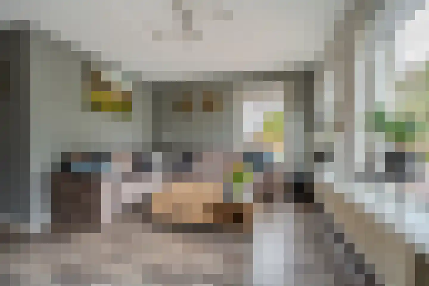 Van Sonoystraat 3 Bourtange thumbnail 20