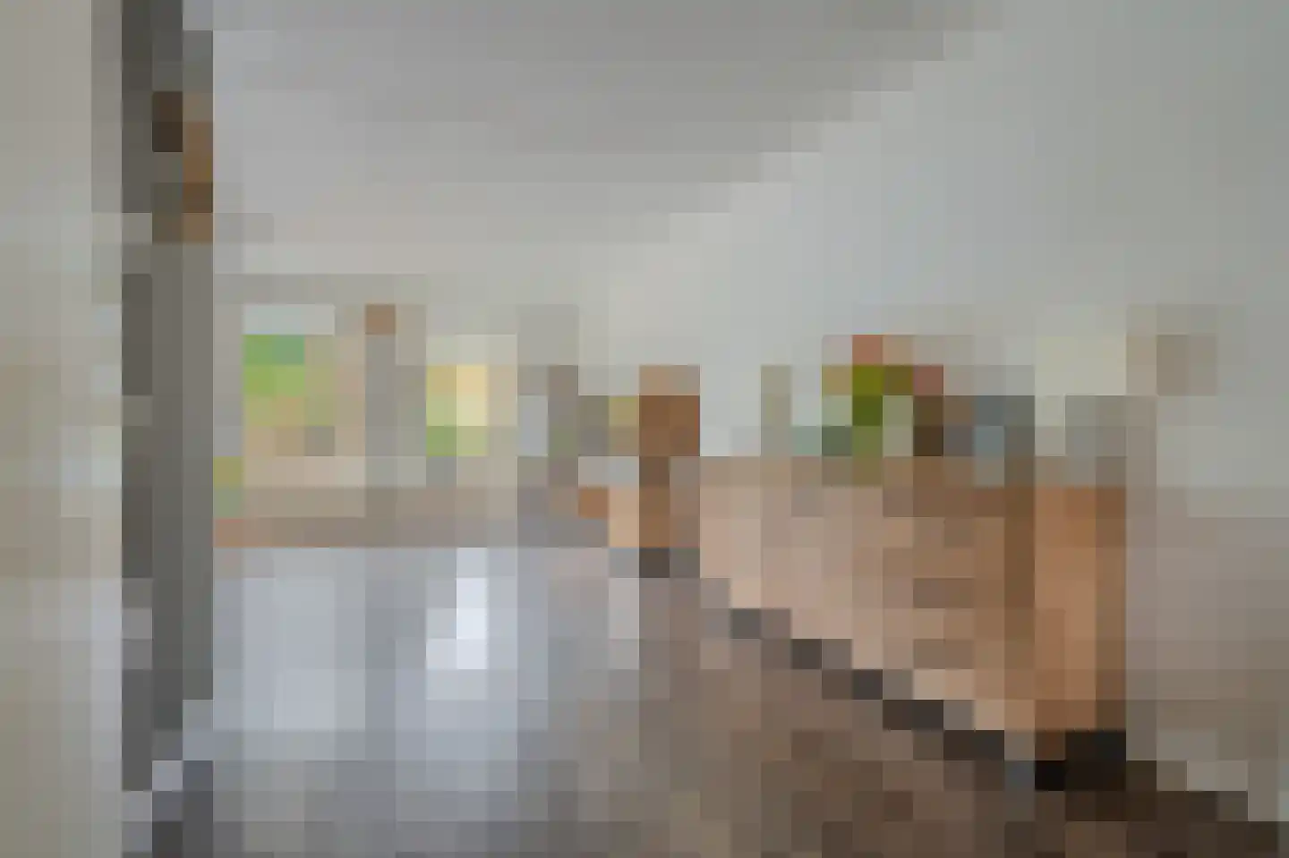 Van Sonoystraat 3 Bourtange thumbnail 22