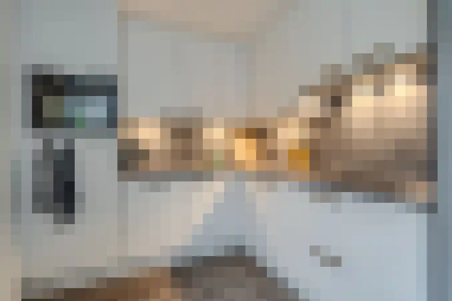 Van Sonoystraat 3 Bourtange thumbnail 24
