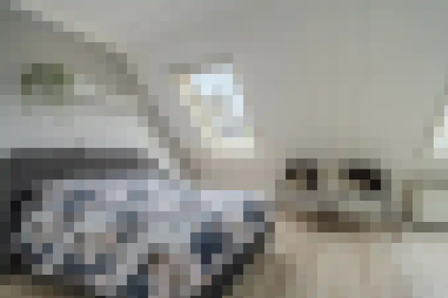 Van Sonoystraat 3 Bourtange thumbnail 34