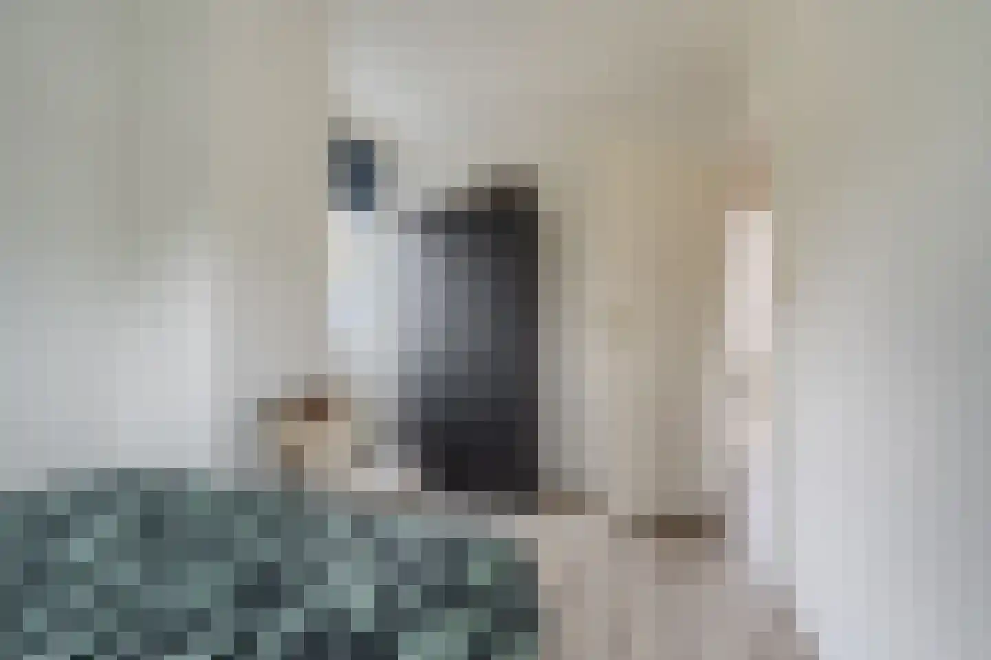 Van Sonoystraat 3 Bourtange thumbnail 37