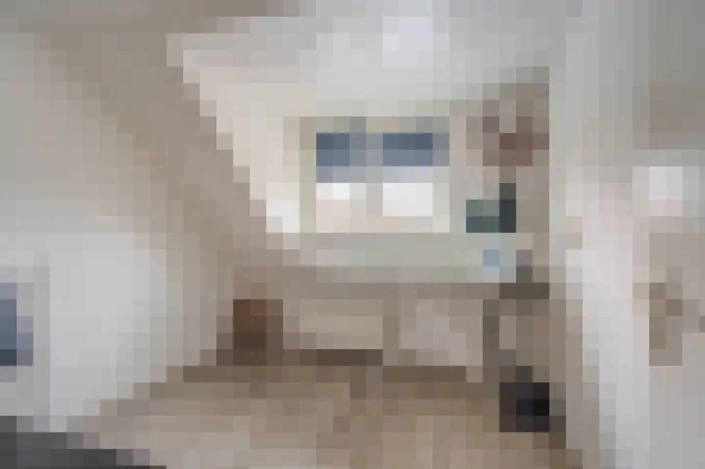 Van Sonoystraat 3 Bourtange thumbnail 38