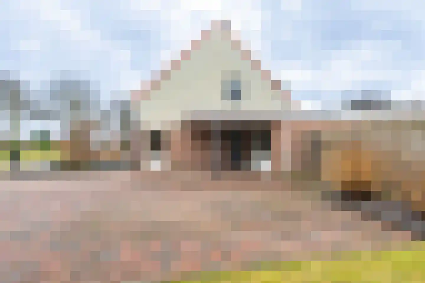 Van Sonoystraat 3 Bourtange thumbnail 7