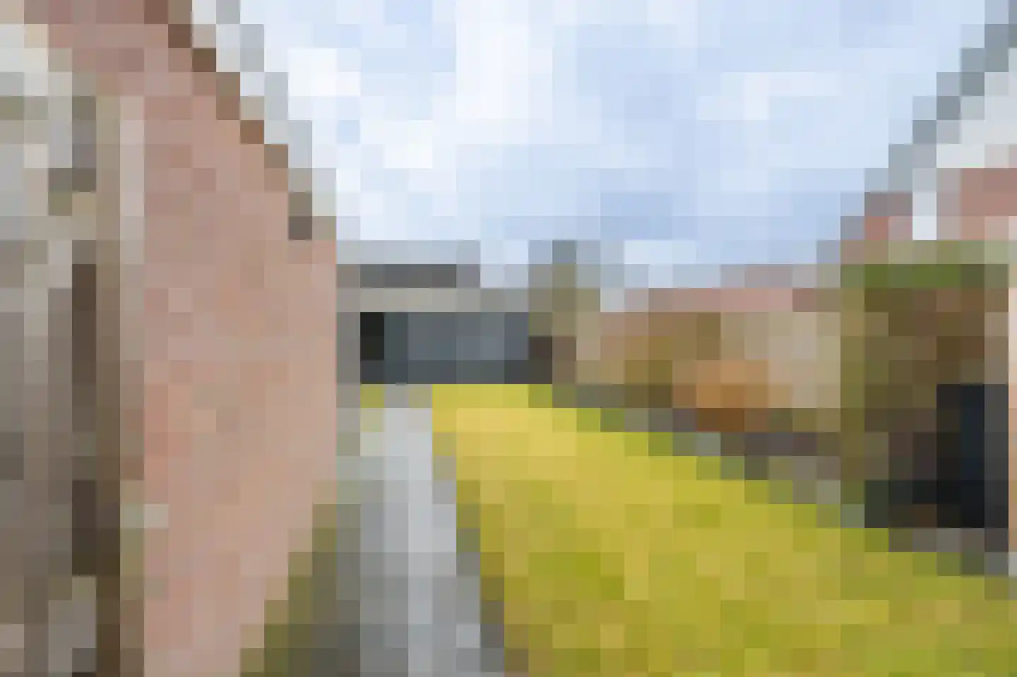 Van Sonoystraat 3 Bourtange thumbnail 8