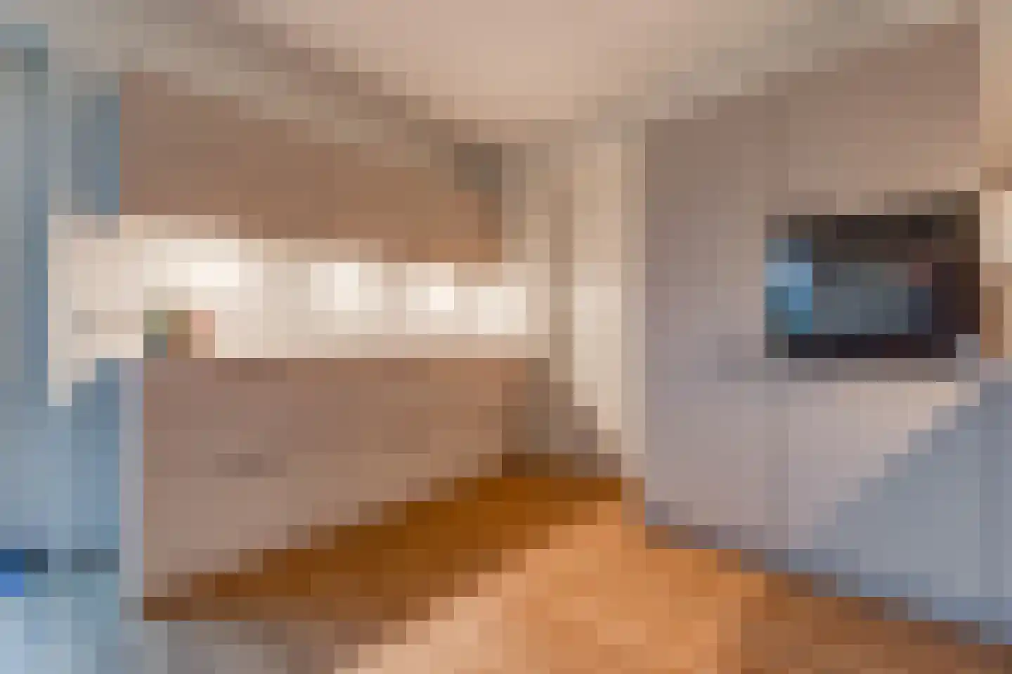 Van Sonoystraat 30 Bourtange thumbnail 21