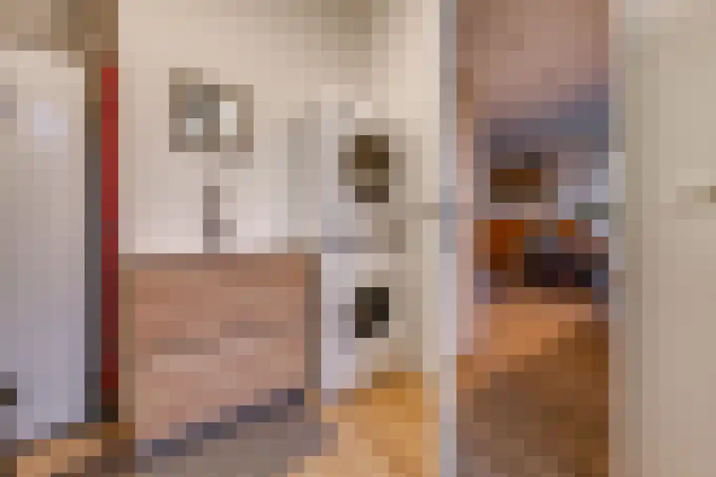 Van Sonoystraat 30 Bourtange thumbnail 22