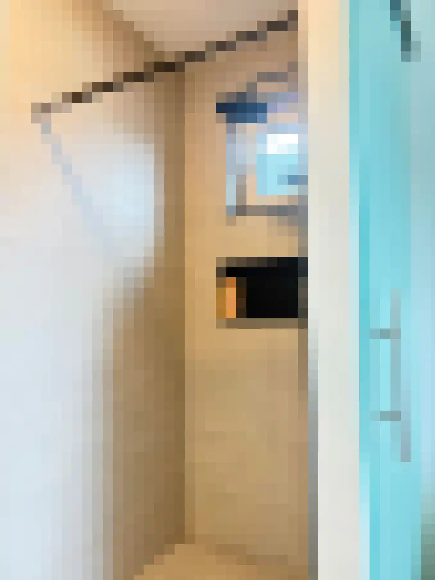 Van Sonoystraat 30 Bourtange thumbnail 27