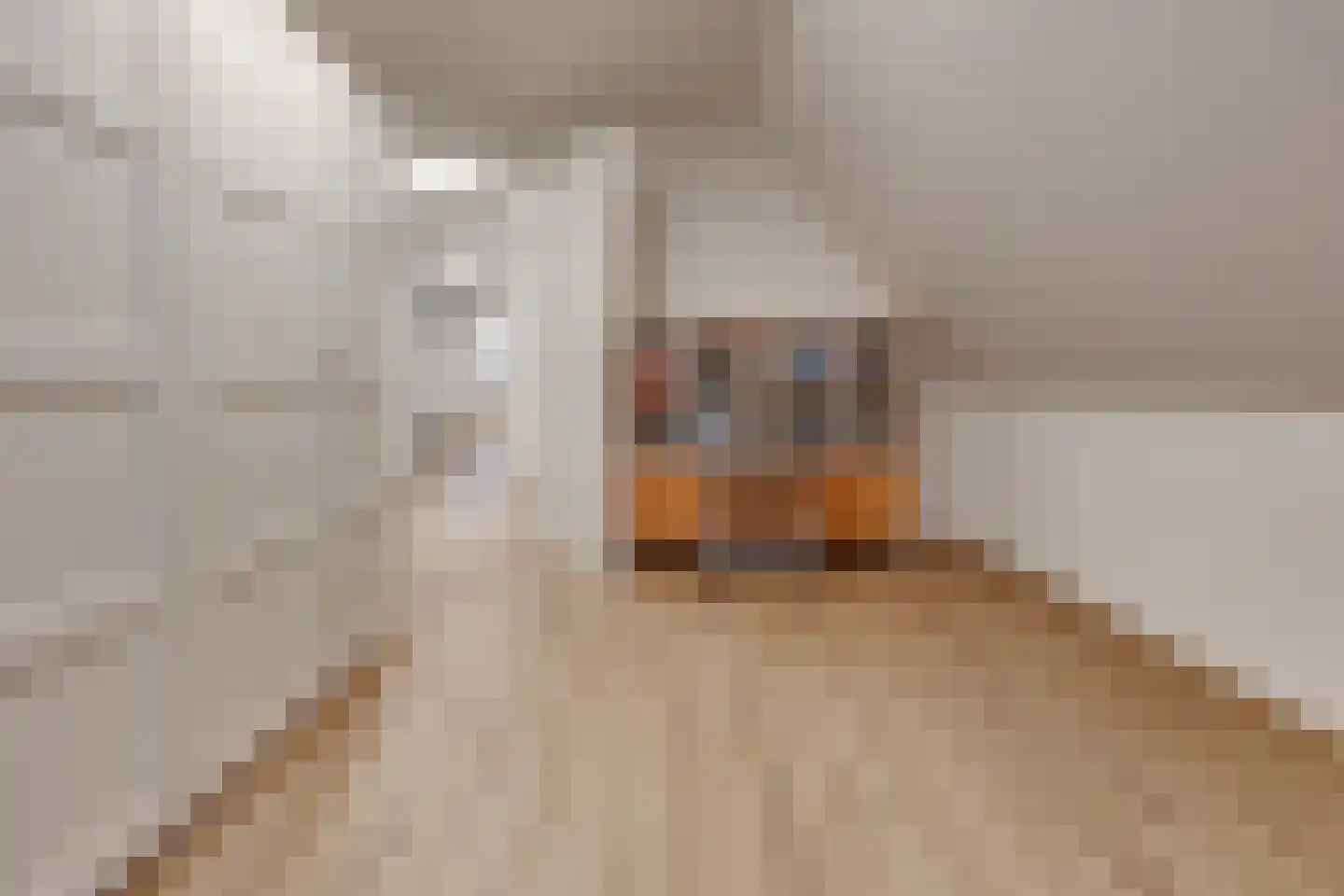 Van Sonoystraat 30 Bourtange thumbnail 38