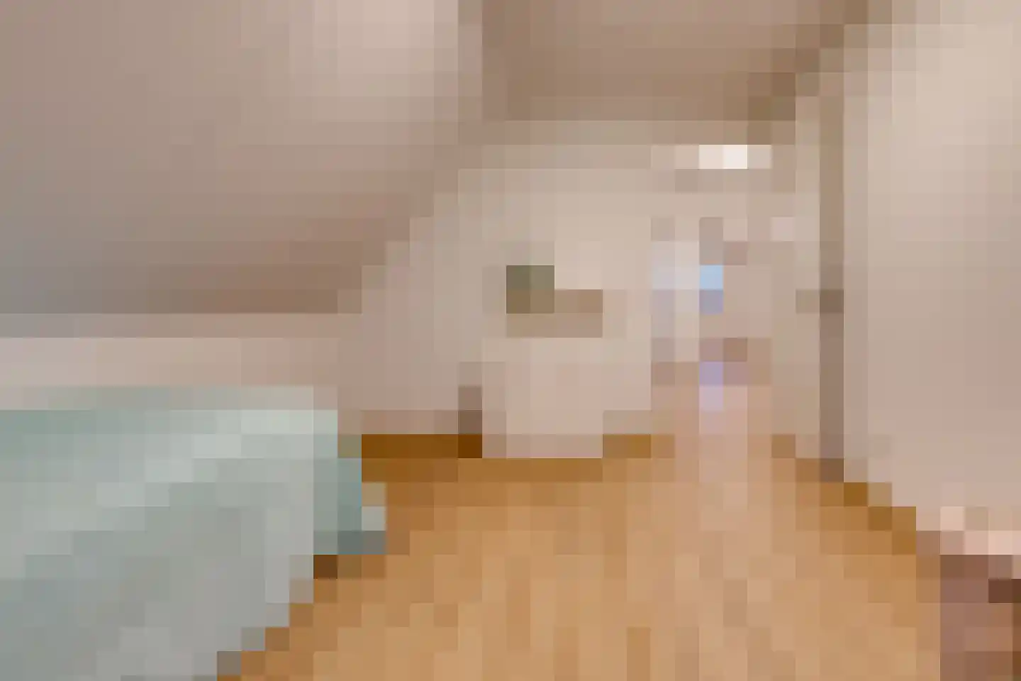 Van Sonoystraat 30 Bourtange thumbnail 40