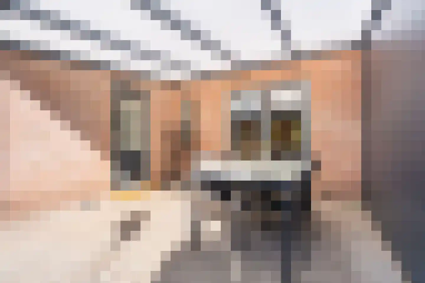 Van Sonoystraat 7 Bourtange thumbnail 10