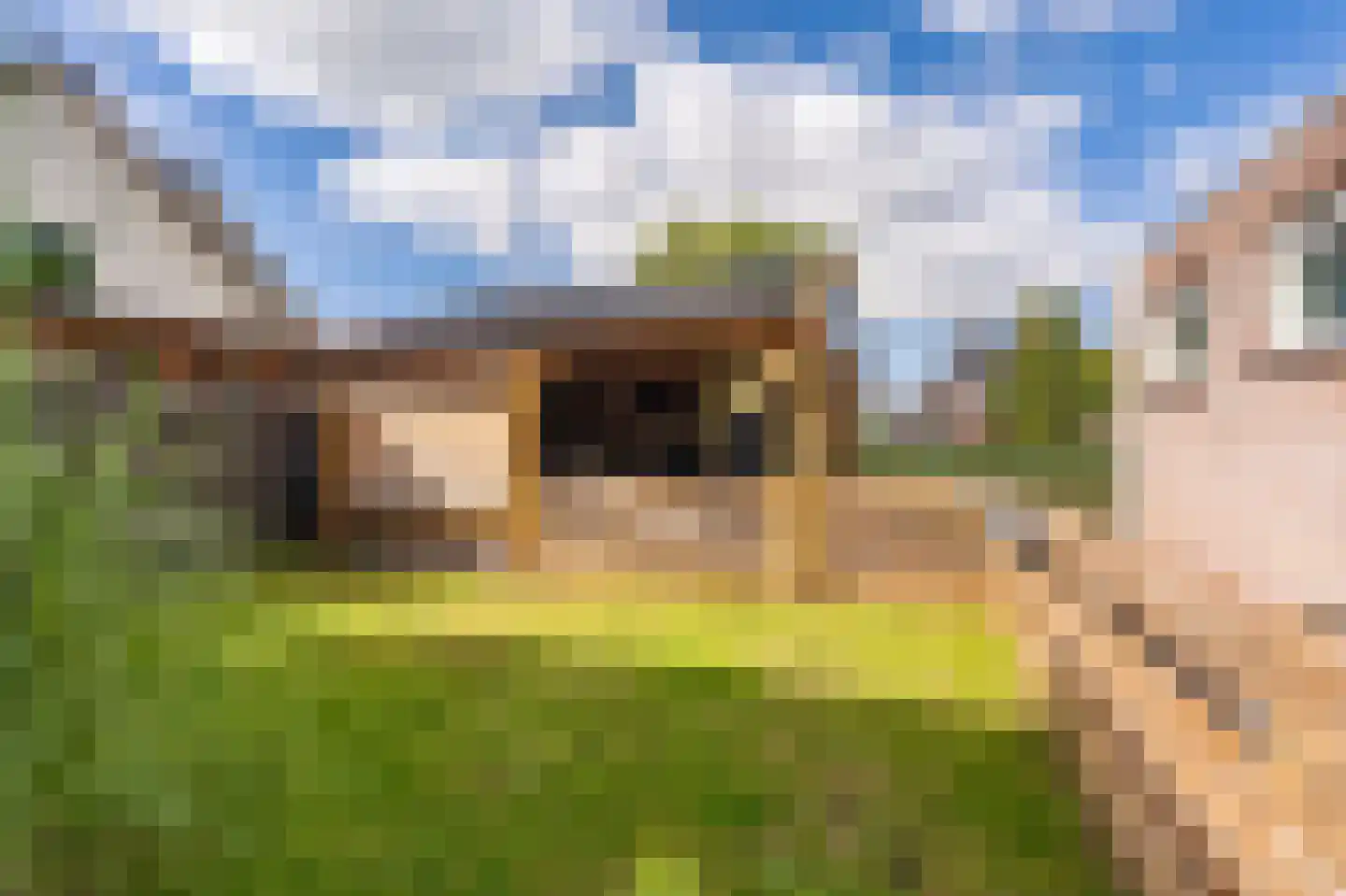 Van Sonoystraat 7 Bourtange thumbnail 16