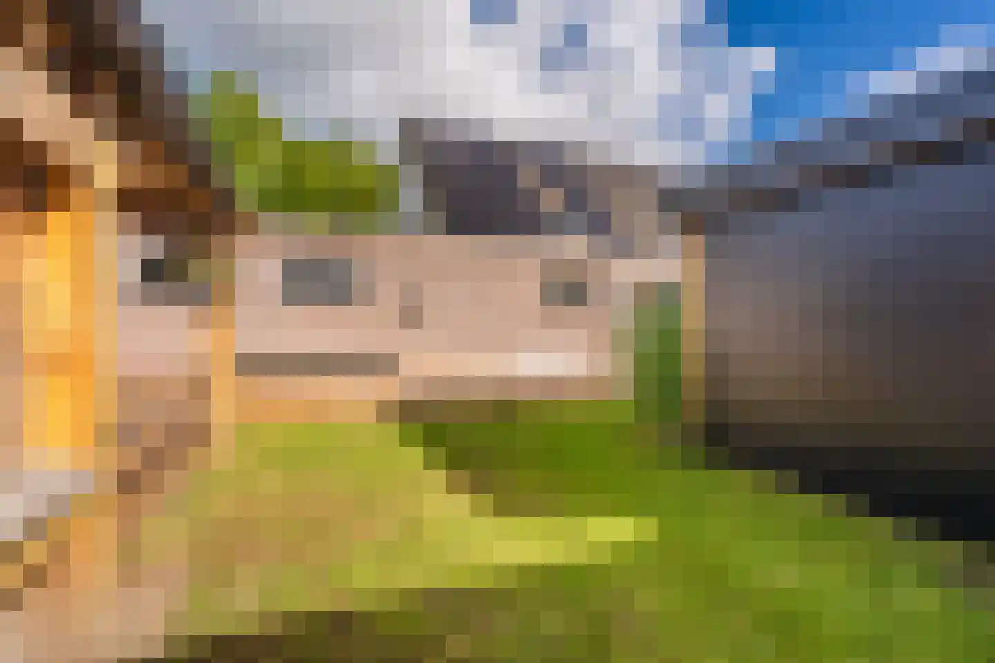 Van Sonoystraat 7 Bourtange thumbnail 17