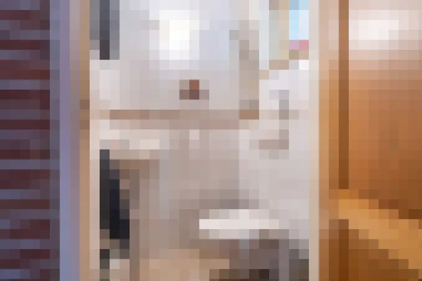 Van Sonoystraat 7 Bourtange thumbnail 20