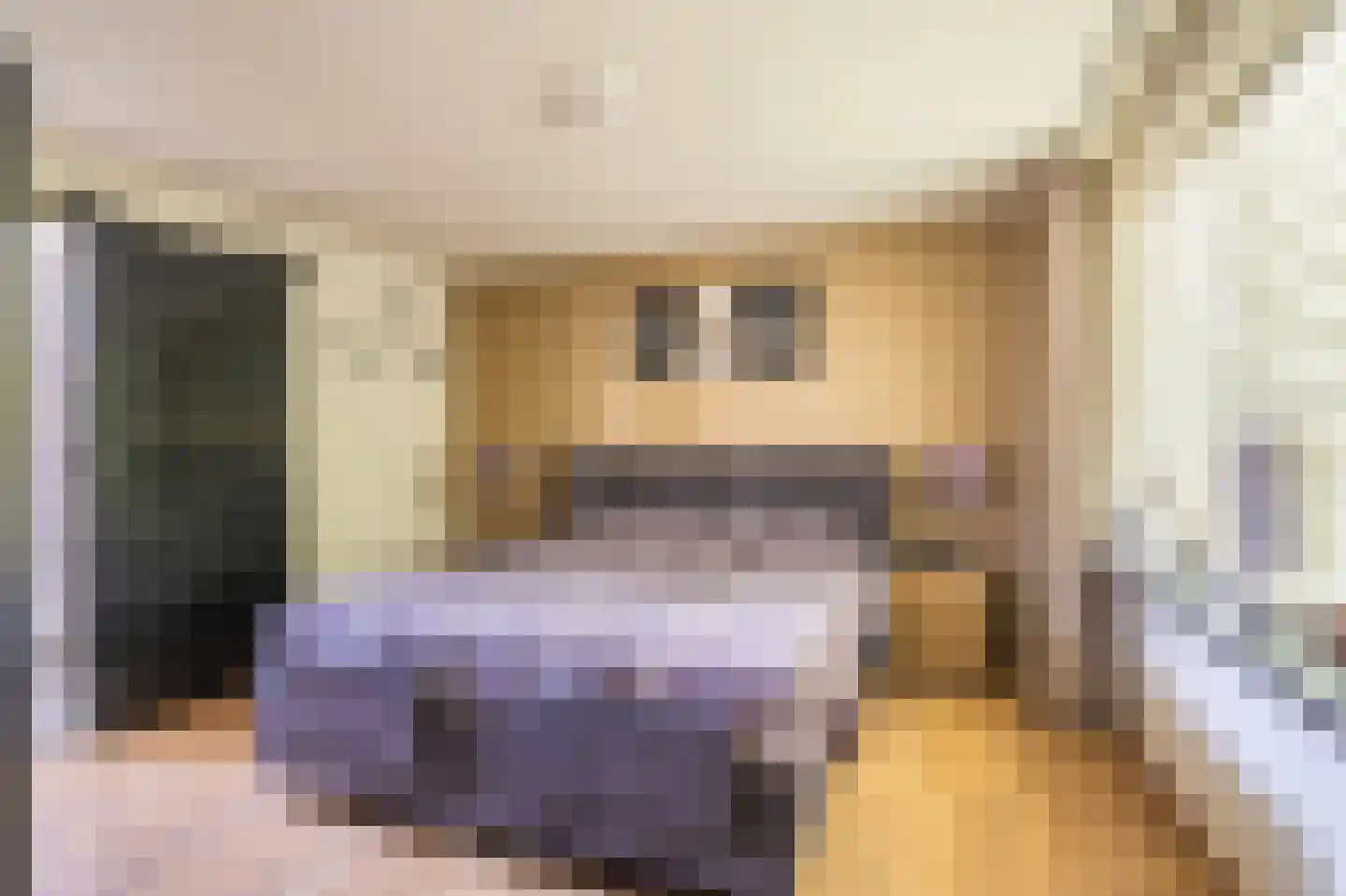 Van Sonoystraat 7 Bourtange thumbnail 34