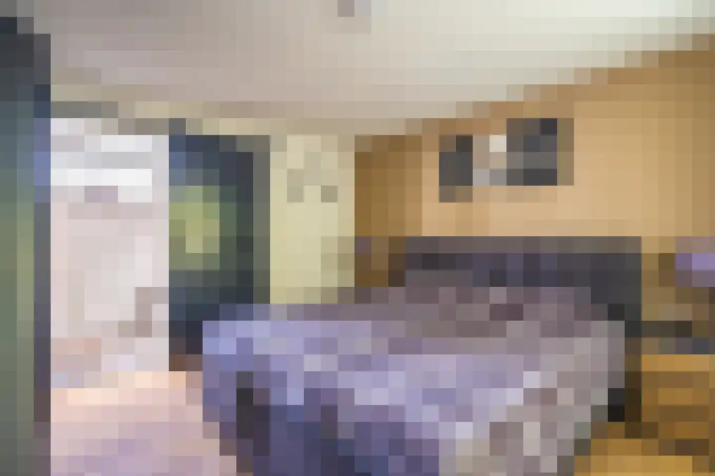 Van Sonoystraat 7 Bourtange thumbnail 35