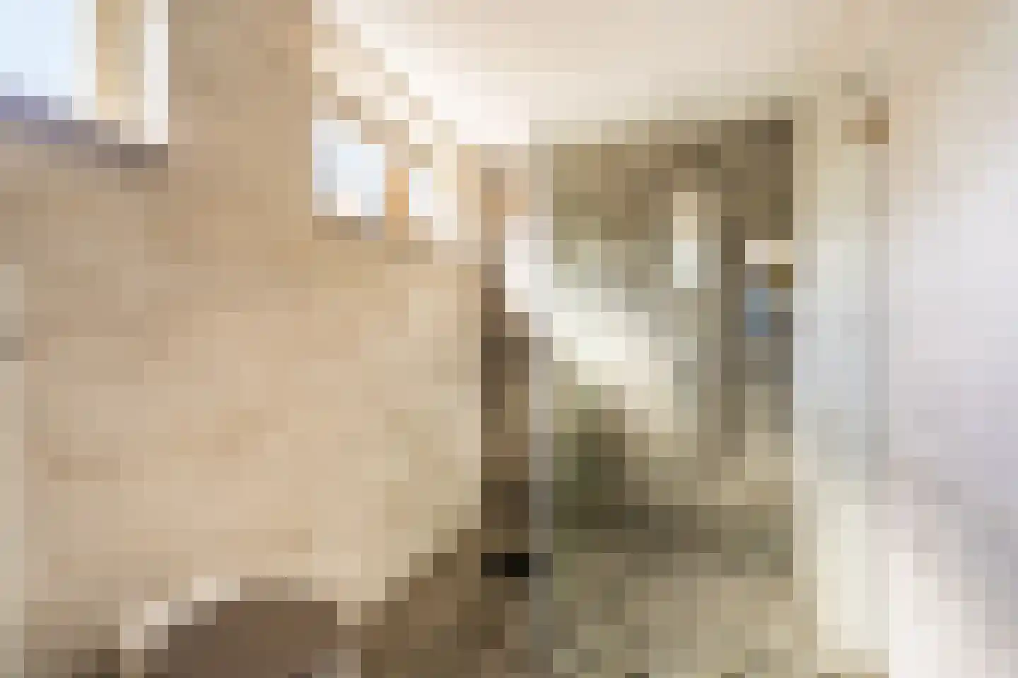 Van Sonoystraat 7 Bourtange thumbnail 39