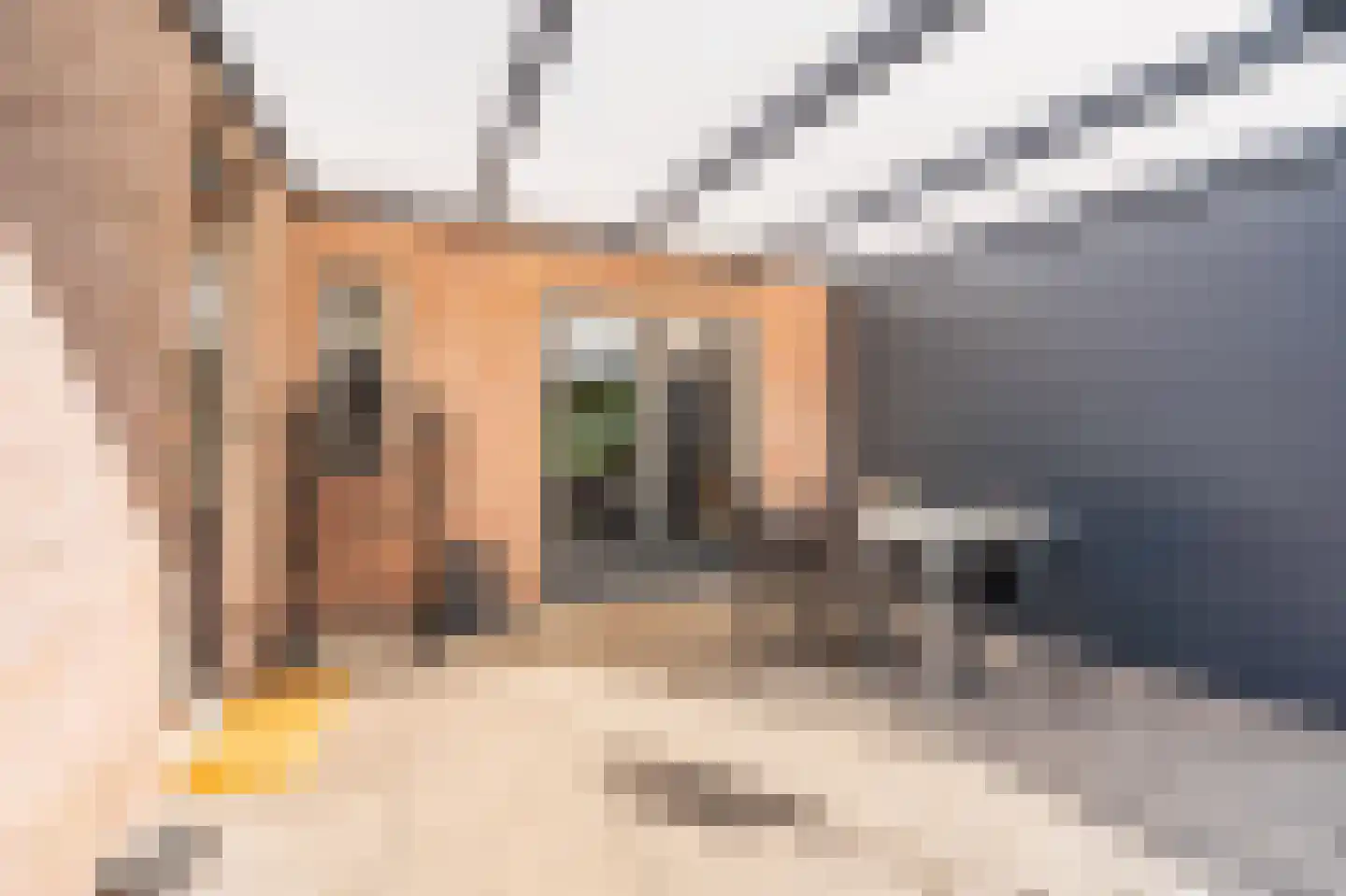 Van Sonoystraat 7 Bourtange thumbnail 9