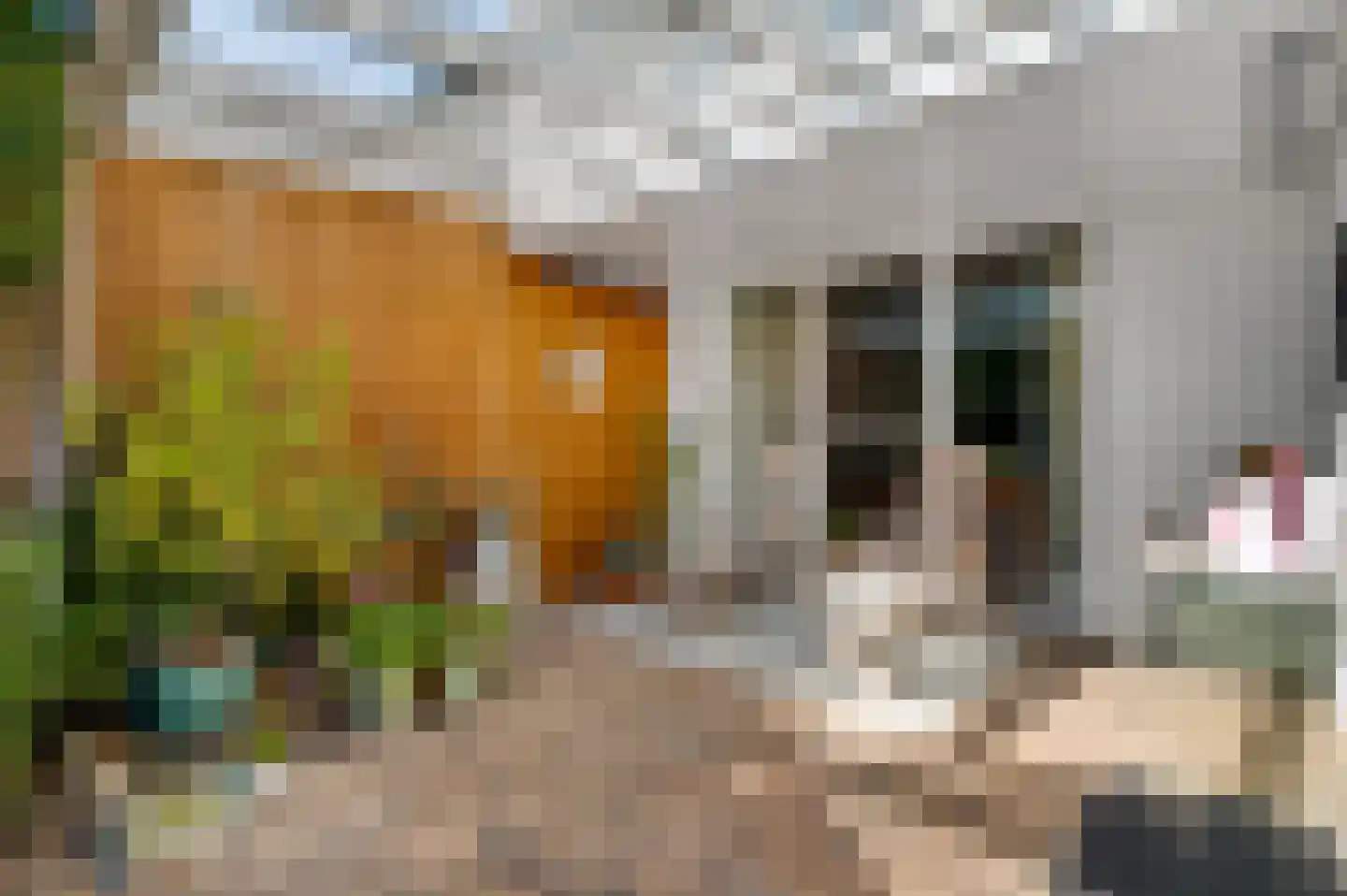 van Sonsbeecklaan 15 Beek thumbnail 18