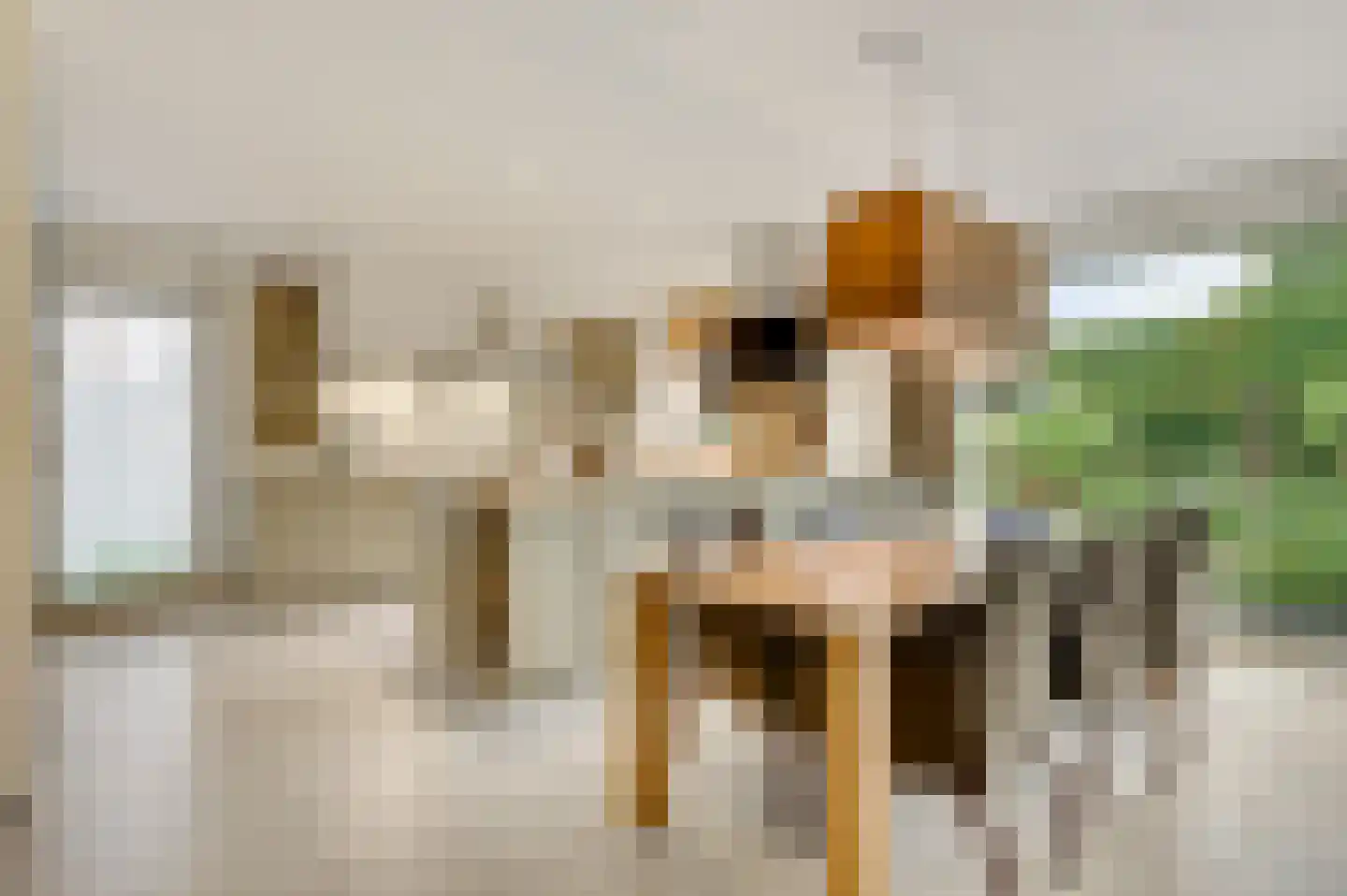 van Sonsbeecklaan 15 Beek thumbnail 20