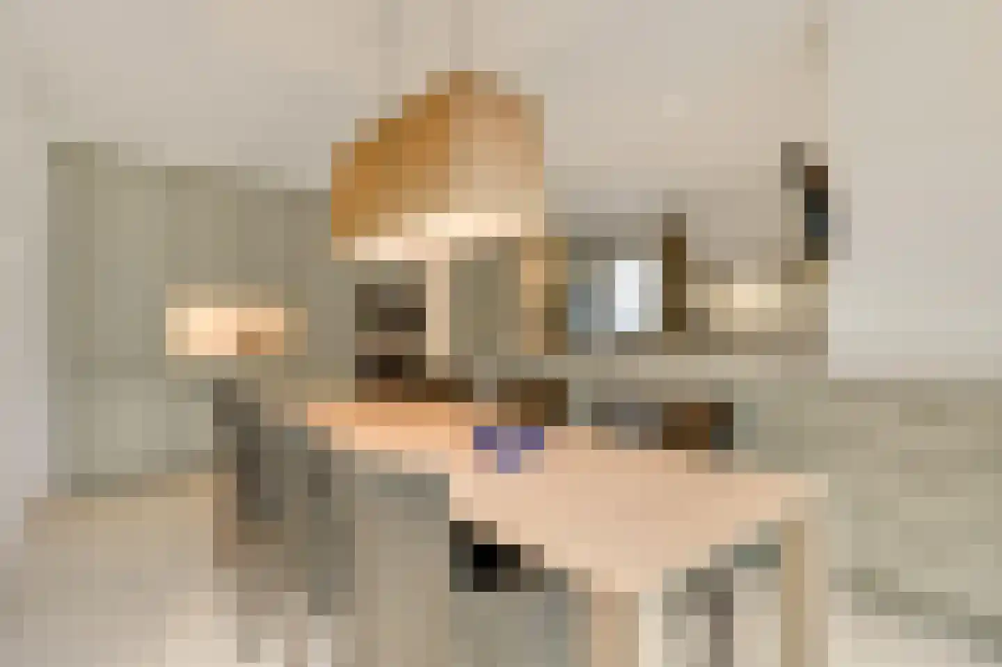 van Sonsbeecklaan 15 Beek thumbnail 21