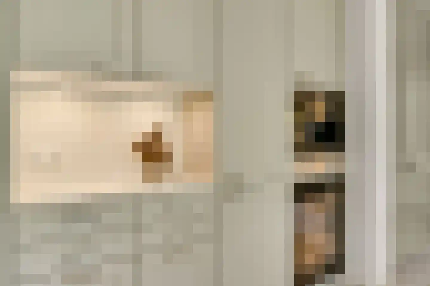 van Sonsbeecklaan 15 Beek thumbnail 22