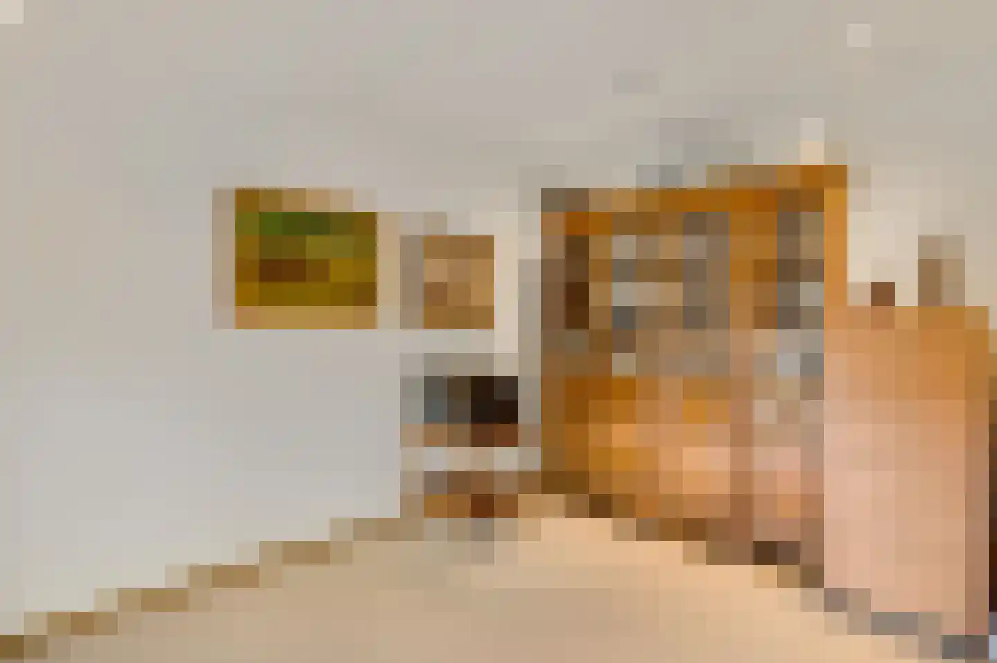 van Sonsbeecklaan 15 Beek thumbnail 43