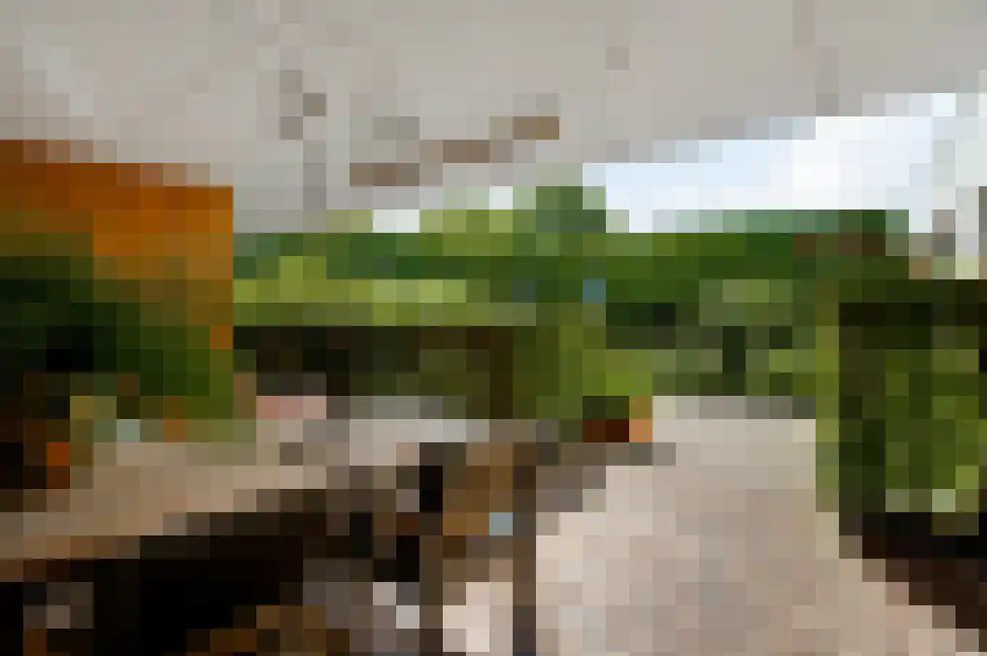 van Sonsbeecklaan 15 Beek thumbnail 5