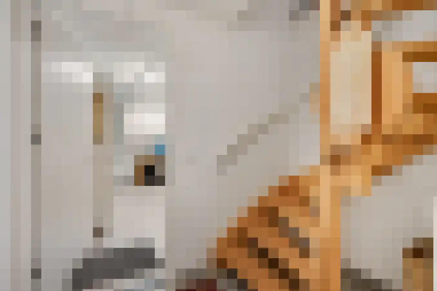 van Sonsbeecklaan 15 Beek thumbnail 62