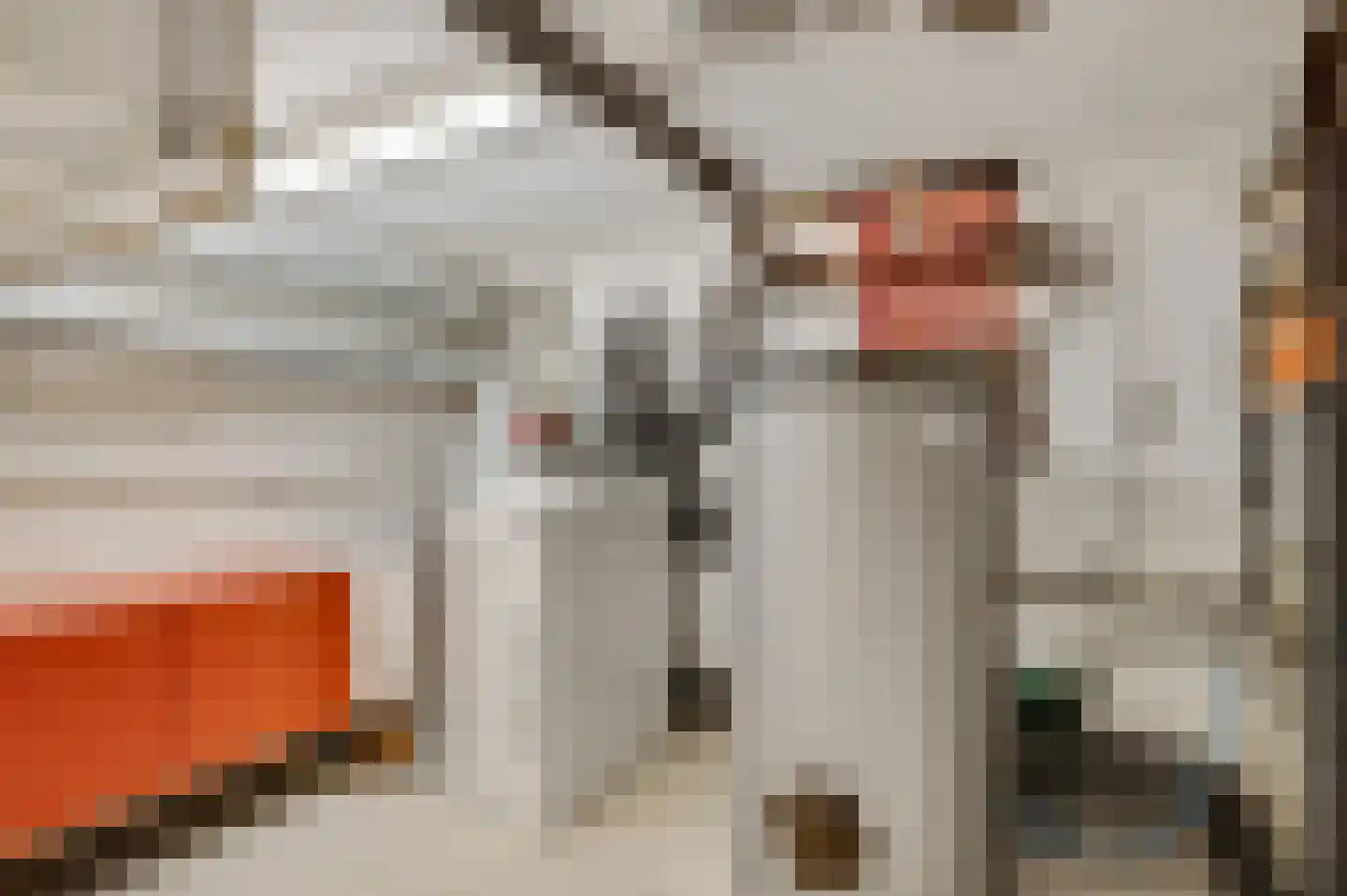 van Sonsbeecklaan 15 Beek thumbnail 64