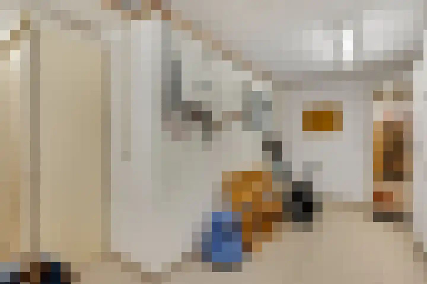 van Sonsbeecklaan 15 Beek thumbnail 66