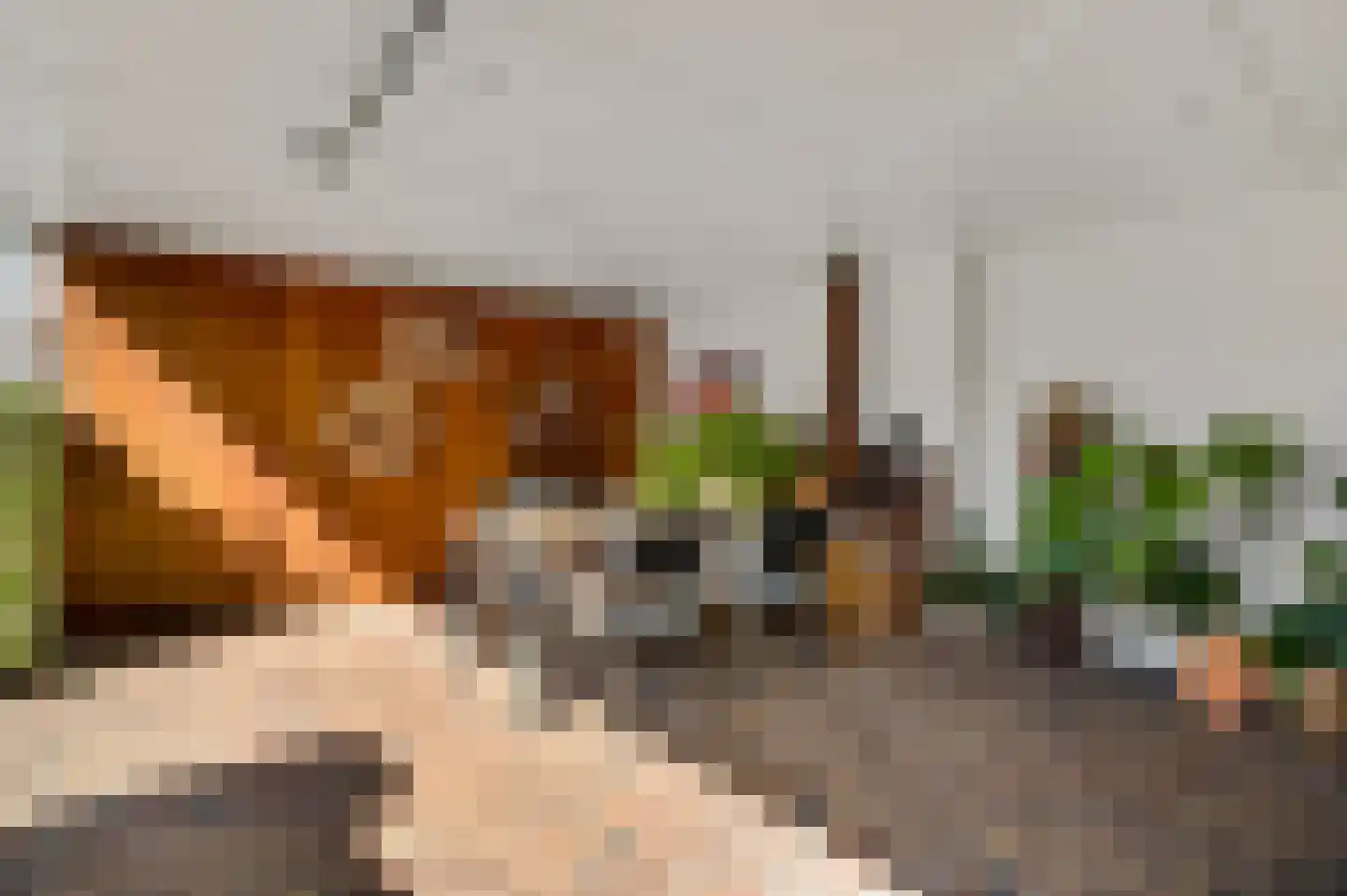 van Sonsbeecklaan 15 Beek thumbnail 70