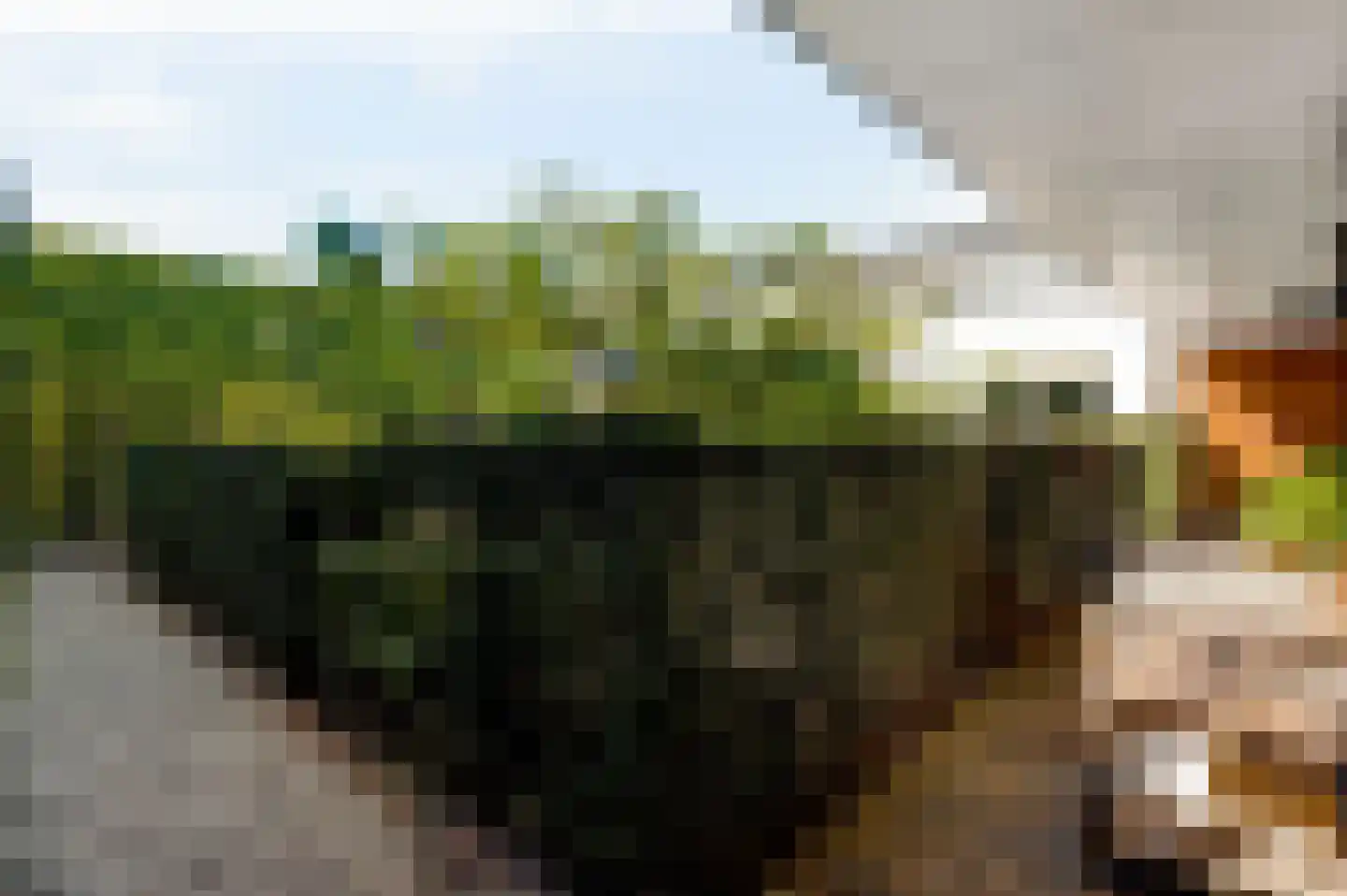 van Sonsbeecklaan 15 Beek thumbnail 72