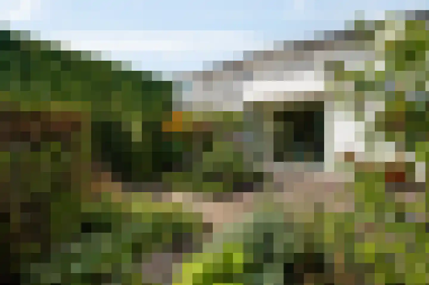 van Sonsbeecklaan 15 Beek thumbnail 74