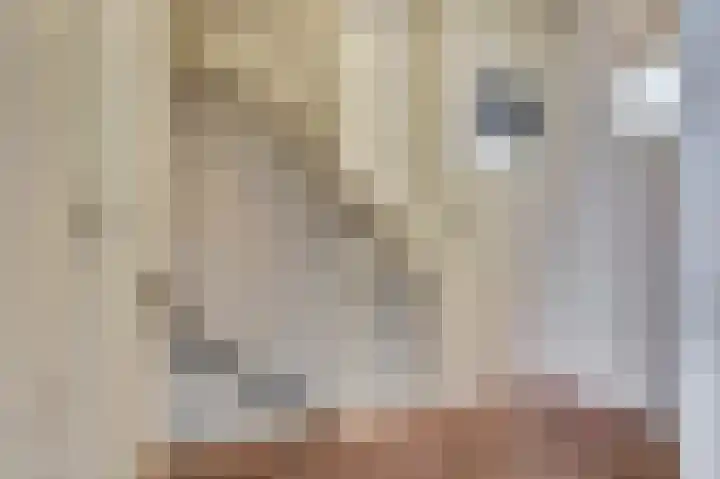 van Sonsbeecklaan 19 Melick thumbnail 23