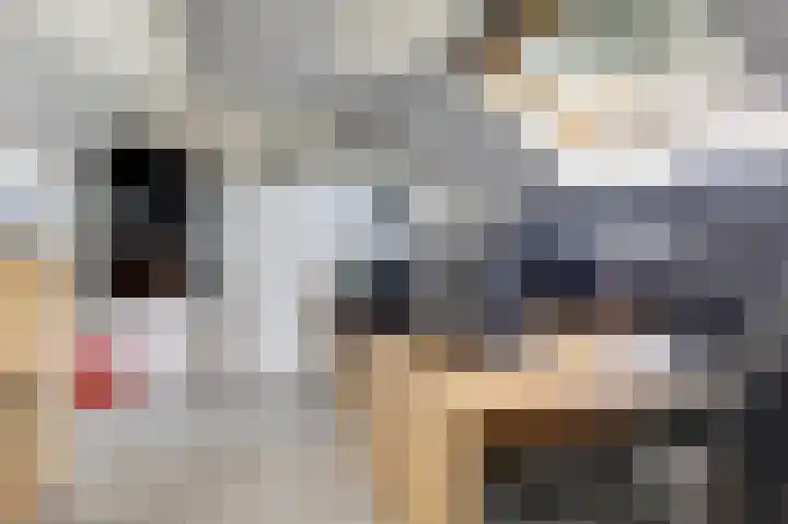 van Sonsbeecklaan 19 Melick thumbnail 33