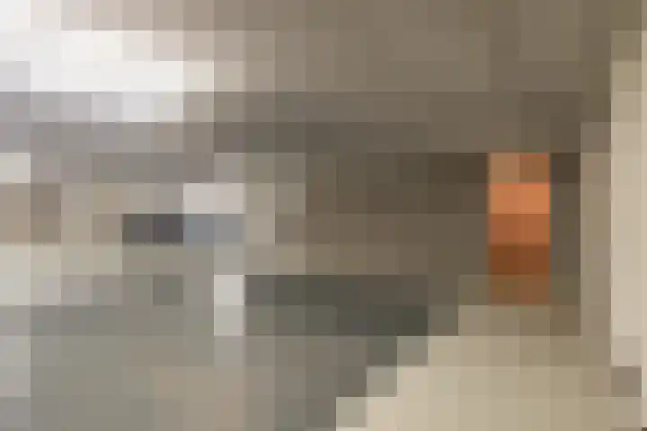van Sonsbeecklaan 2 L Beek thumbnail 20