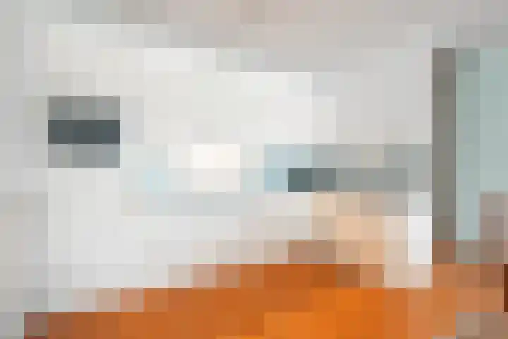 van Sonsbeecklaan 2 L Beek thumbnail 8
