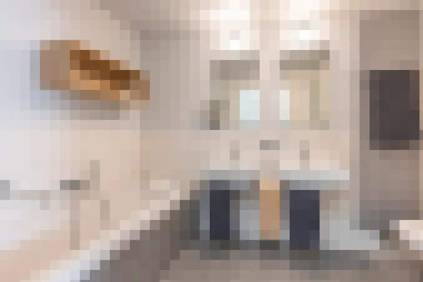 Van Sonsbeeckstraat 14 Heerlen thumbnail 20