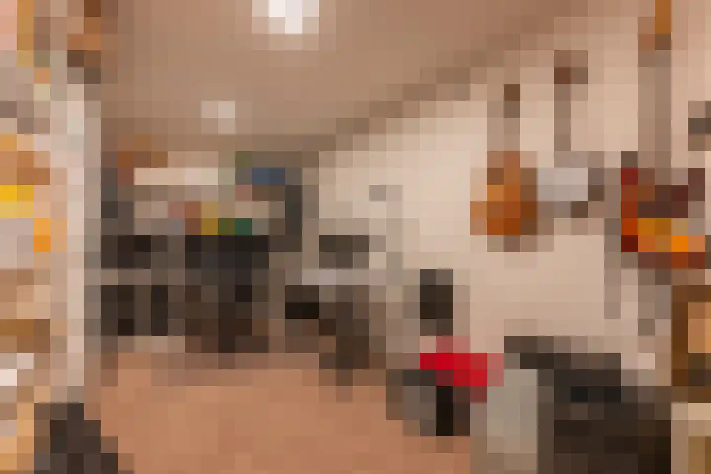Van Sonsbeeckstraat 14 Heerlen thumbnail 32