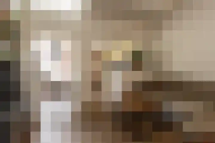 Van Sonstraat 18 Tilburg thumbnail 11