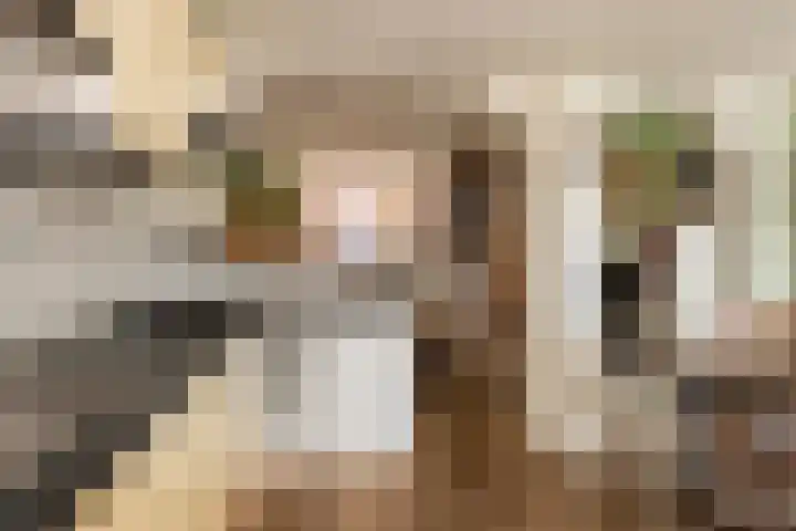 Van Sonstraat 18 Tilburg thumbnail 13