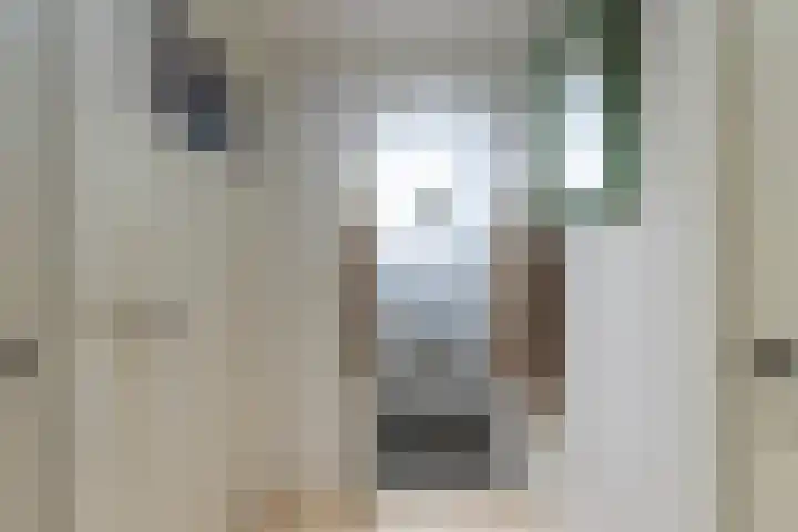 Van Sonstraat 18 Tilburg thumbnail 18