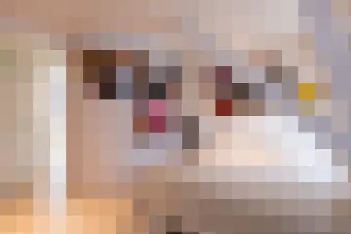 Van Sonstraat 18 Tilburg thumbnail 20