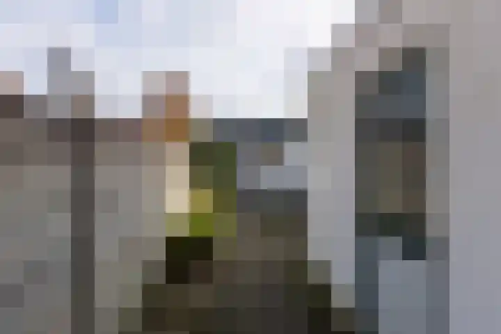 Van Sonstraat 18 Tilburg thumbnail 25